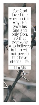 For God So Loved (John 3:16, CSB) Bookmarks, 25