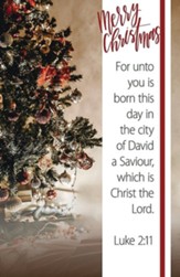 Merry Christmas/Unto You Is Born This Day (Luke 2:11, KJV)  Bulletins, 100