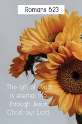 The Gift of God (Romans 6:23, KJV) Bulletins, 100