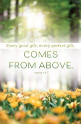 Every Good Gift (James 1:17, CEB) Bulletins, 100