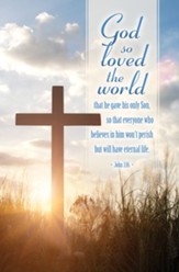 God So Loved the World. (John 3:16, CEB) Bulletins, 100