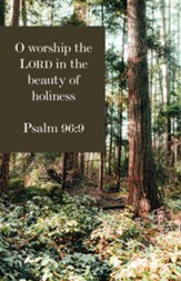 O Worship the Lord (Psalm 96:9, KJV) Bulletins, 100
