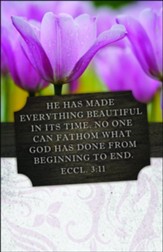 Everything Beautiful (Ecclesiastes 3:11, NIV) Bulletins, 100