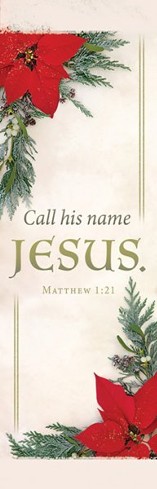 Call His Name Jesus (Matthew 1:21) Fabric Banner (2' x 6')