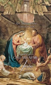 She Shall Bring Forth a Son (Matthew 1:21) Fabric Banner (3' x 5')