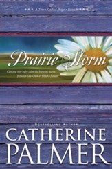 Prairie Storm - eBook