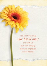 Journey Of the Heart (NIV) Box of 12 Sympathy Cards