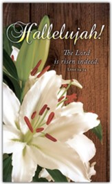 Hallelujah Lily (Luke 24:34) 36 x 60 Fabric Banner