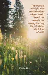 The Lord Is My Light (Psalm 27:1, KJV) Bulletins, 100
