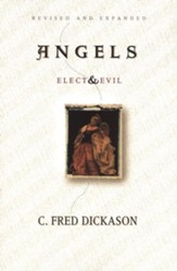 Angels Elect and Evil - eBook