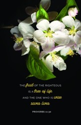 Fruit of the Righteous (Proverbs 11:30, NIV) Bulletins, 100
