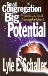 Small Congregation, Big Potential - eBook