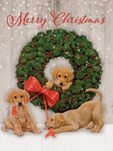 Wonder And Joy Christmas Cards, Box of 18