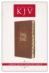 KJV Thinline Bible--imitation  leather, brown