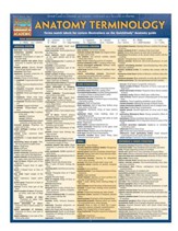 Anatomy Terminology, Laminated Guide