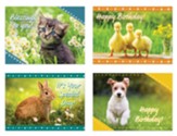 Fuzzy Friends, Children's Birthday Boxed Cards (KJV)