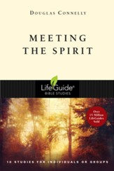 Meeting the Spirit - PDF Download [Download]