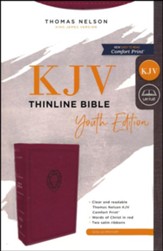 KJV, Thinline Bible Youth Edition, Leathersoft, Burgundy, Comfort Print - Imperfectly Imprinted Bibles