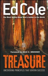 Treasure: Uncovering Principles That Govern Success