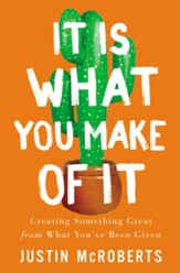 It Is What You Make of It: Creating  Something Great from What You've Been Given