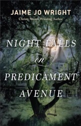 Night Falls on Predicament Avenue, Softcover