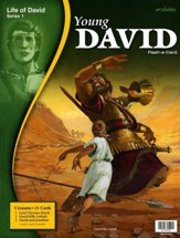 Young David Flash-a-Card Bible  Stories