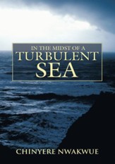 In The Midst Of A Turbulent Sea - eBook