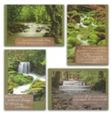 Waterscapes, Get Well Cards, Box of 12