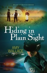 Hiding in Plain Sight - eBook