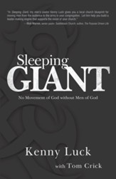 Sleeping Giant: No Movement of God without Men of God - eBook