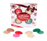Silly Putty Aroma Putty Winter Scents