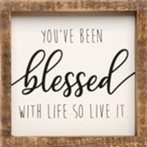 You've Been Blessed with Life Framed Sign