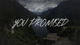 You Promised HD [Music Download]