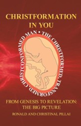 Christformation In You: From Genesis to Revelation: The Big Picture - eBook