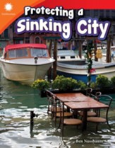 Protecting a Sinking City - PDF Download [Download]