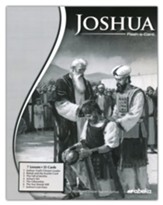 Extra Joshua Bible Story Lesson Guide