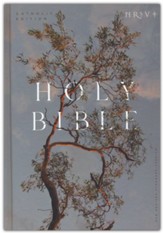 NRSV Catholic Edition Bible, Eucalyptus--hardcover