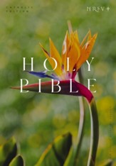 NRSV Catholic Edition Bible, Bird of Paradise--Softcover