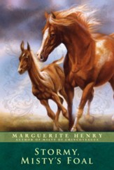 Stormy, Misty's Foal - eBook