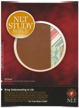 NLT Study Bible, TuTone Cinnamon and  Quilt Imitation Leather