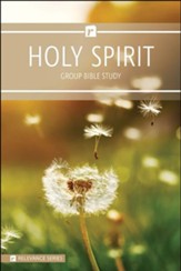 The Holy Spirit, Relevance Group Bible Study