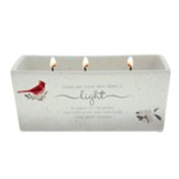 Light Remains Cardinal, Triple Wick Soy Reveal Candle