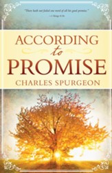 According to Promise - eBook