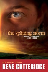 The Splitting Storm - eBook