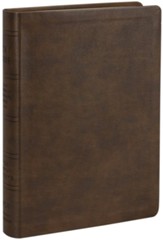 NASB 2020 Wide Margin Reference Bible--soft leather-look, brown