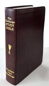CEV Challenge Study Bible--imitation leather,burgundy