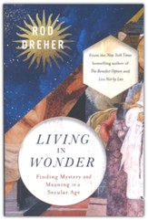 Living in Wonder: Finding Mystery and Meaning in a Secular Age