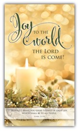 Joy to the World (Luke 2:10) 3' x 5' Fabric Banner
