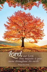 Lord, Our Lord, How Majestic (Psalm 8:1a, CEB) Bulletins, 100