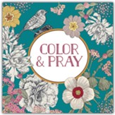 Color & Play - Keepsake Coloring Book